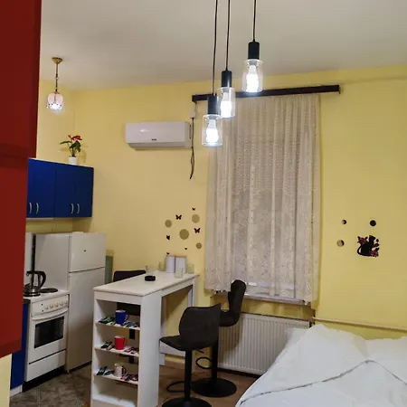 Centar Trivanovic Sa Velikom I Malom Sobom Apartman Novi Sad