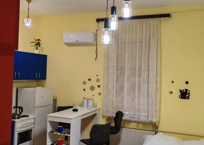 Centar Trivanovic Sa Velikom I Malom Sobom Apartman Novi Sad