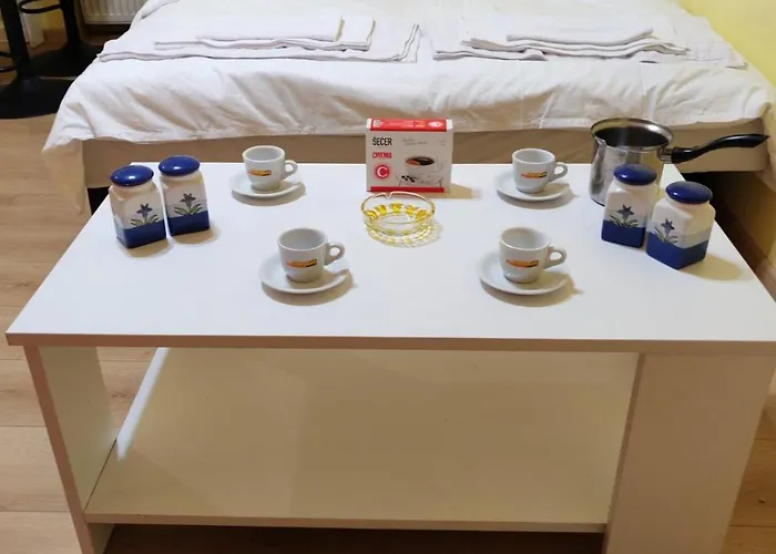 Apartman Centar Trivanovic Sa Velikom I Malom Sobom Novi Sad