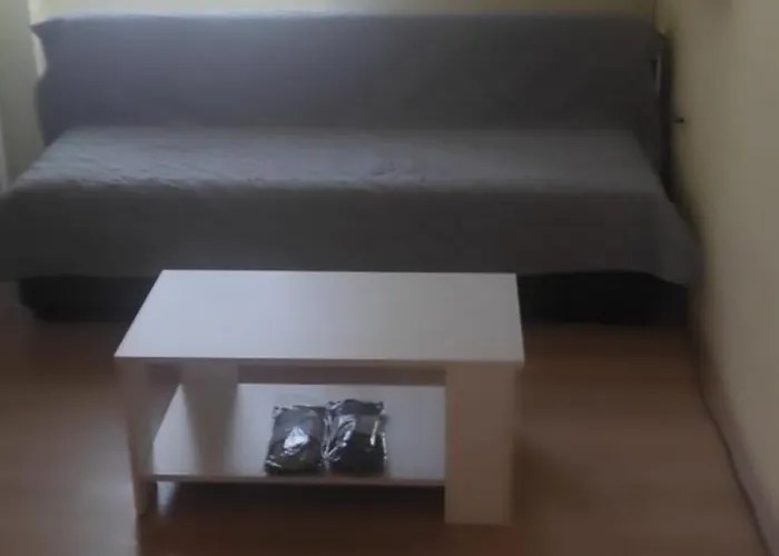 Centar Trivanovic Sa Velikom I Malom Sobom Apartman Novi Sad